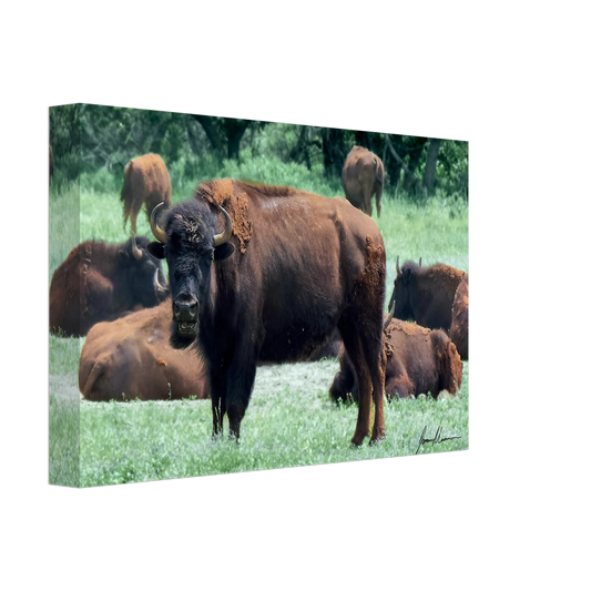 e225732e-2245-425c-9606-90641ae76ad9