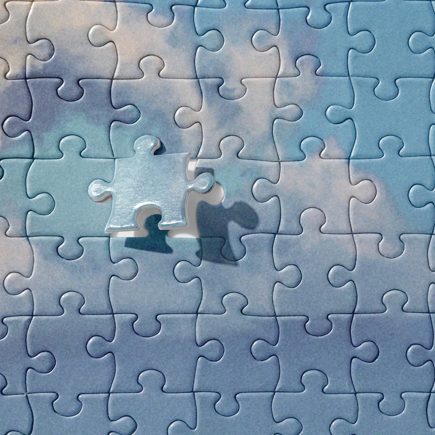 Your Suggested™ Jigsaw Puzzles