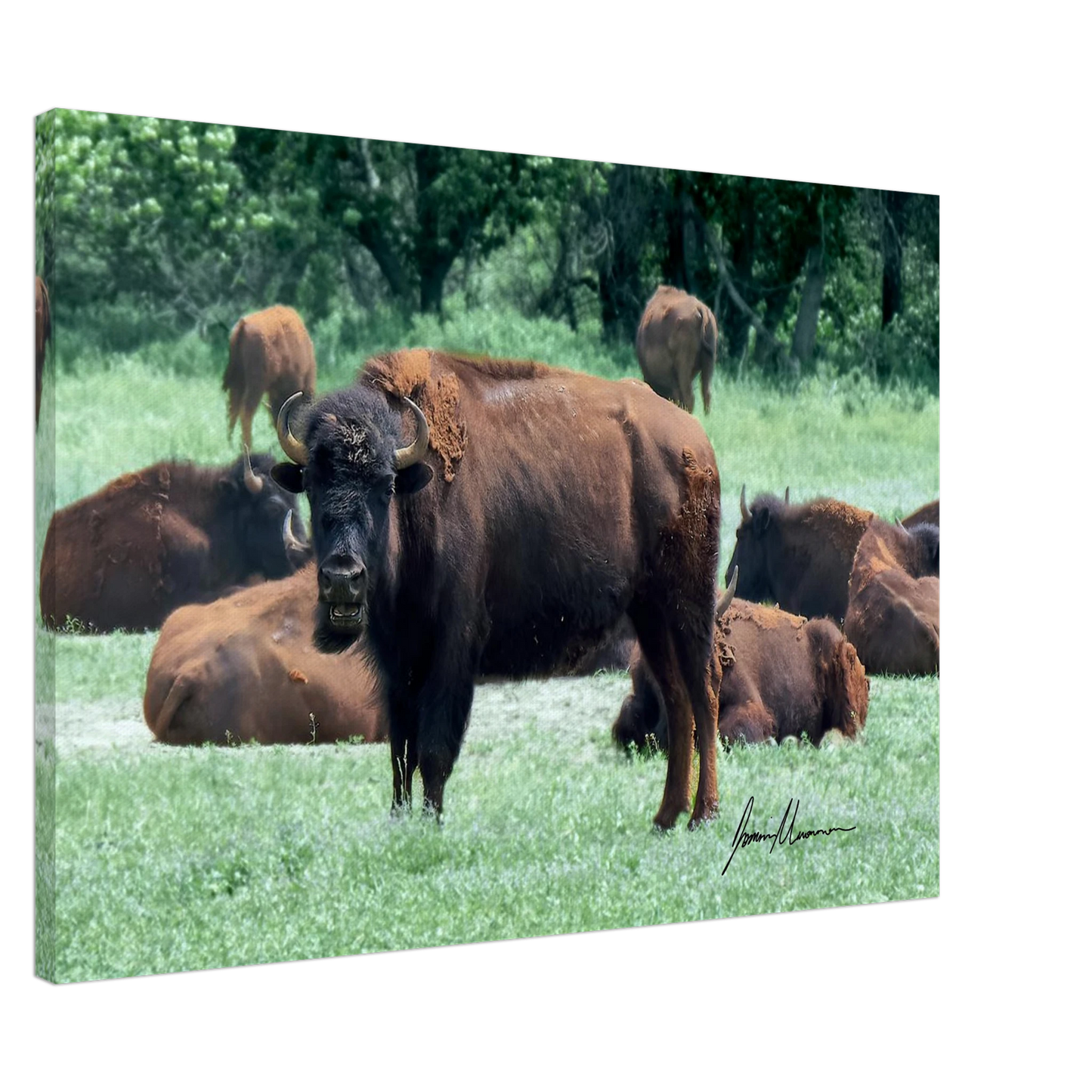 0351a742-2c52-45a5-991c-8c534edb840c