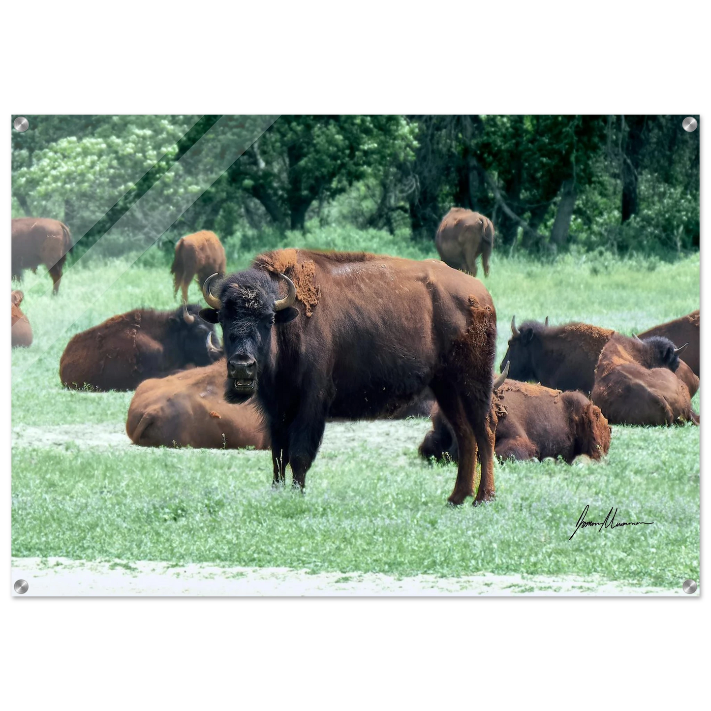 0d22139a-eefd-4cf0-9649-5c9df8b8e454