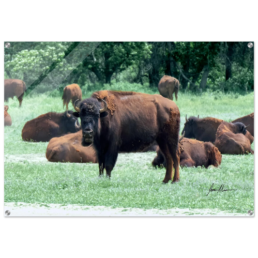 0d22139a-eefd-4cf0-9649-5c9df8b8e454