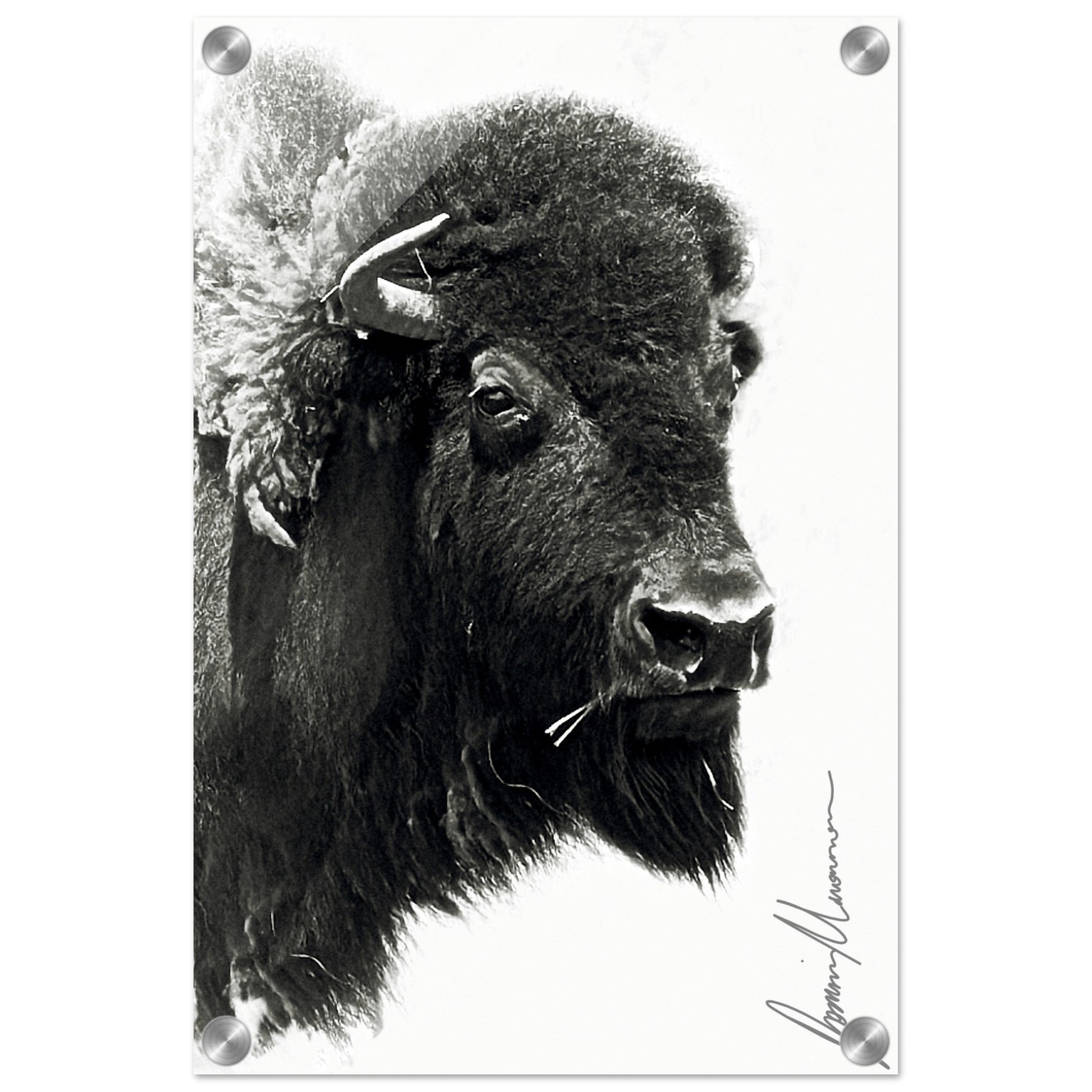 0e6f3073-df84-42b6-97c2-77e6c4794eb6