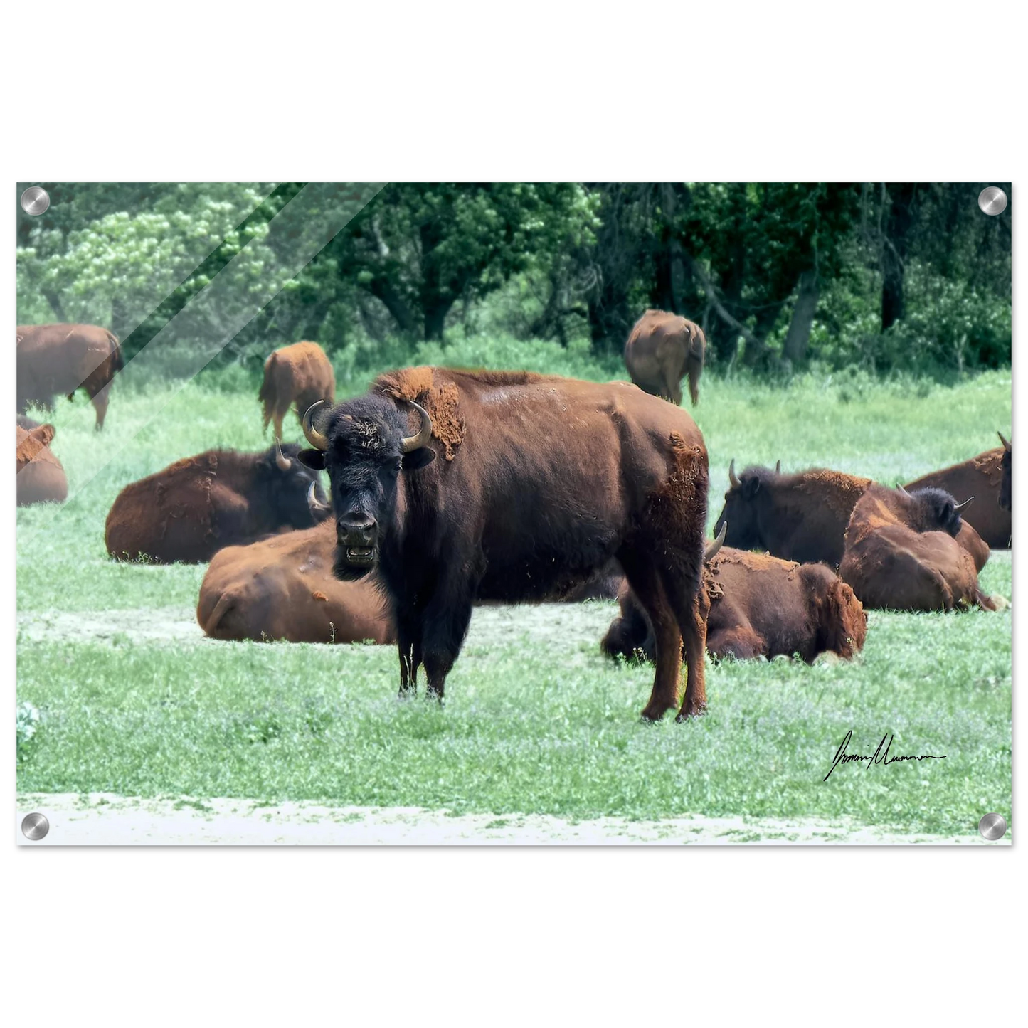 15b02775-7fc8-4ed6-9e86-f7483665983f