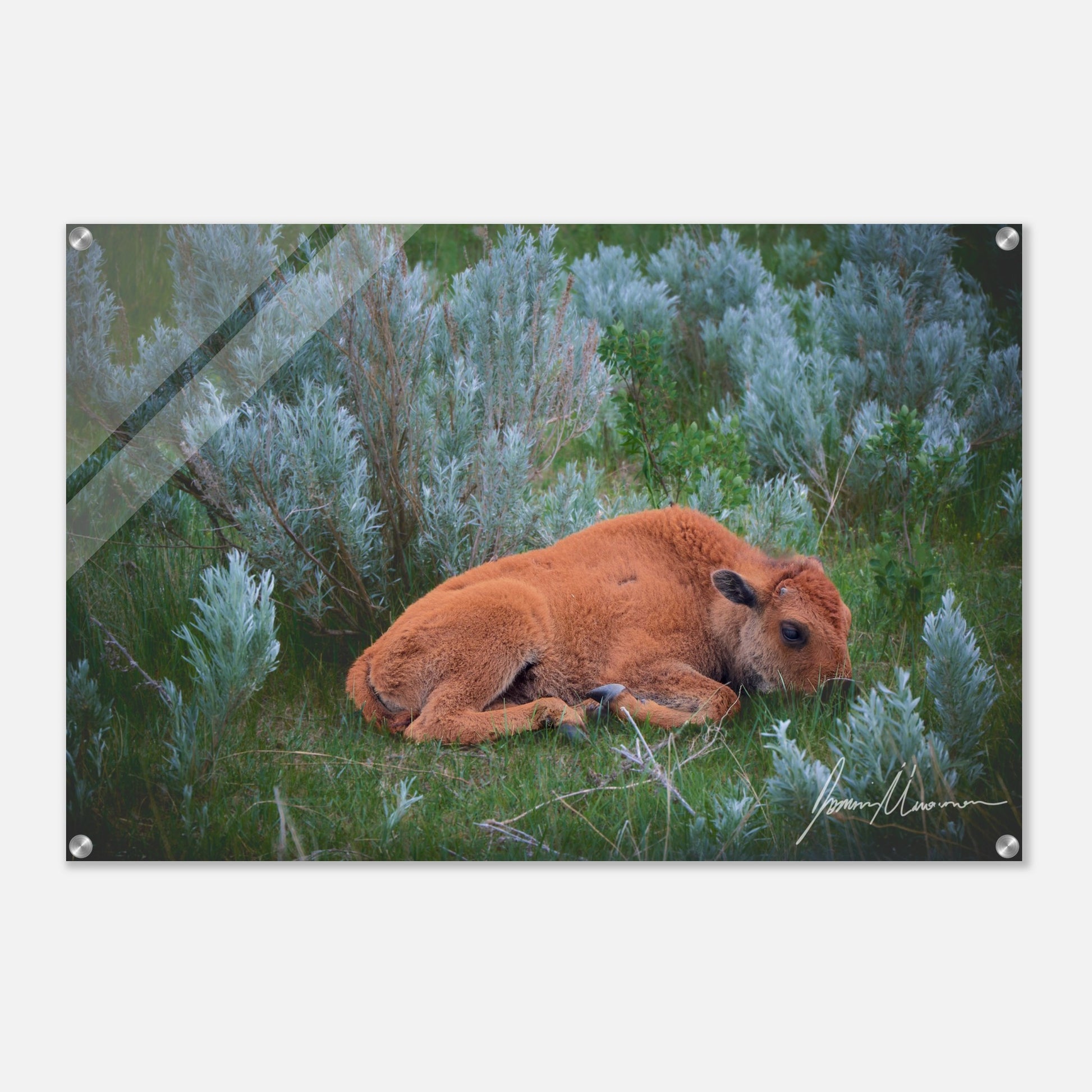 1b0d9d1f-e8d6-4227-8a66-a79d0c14fe37