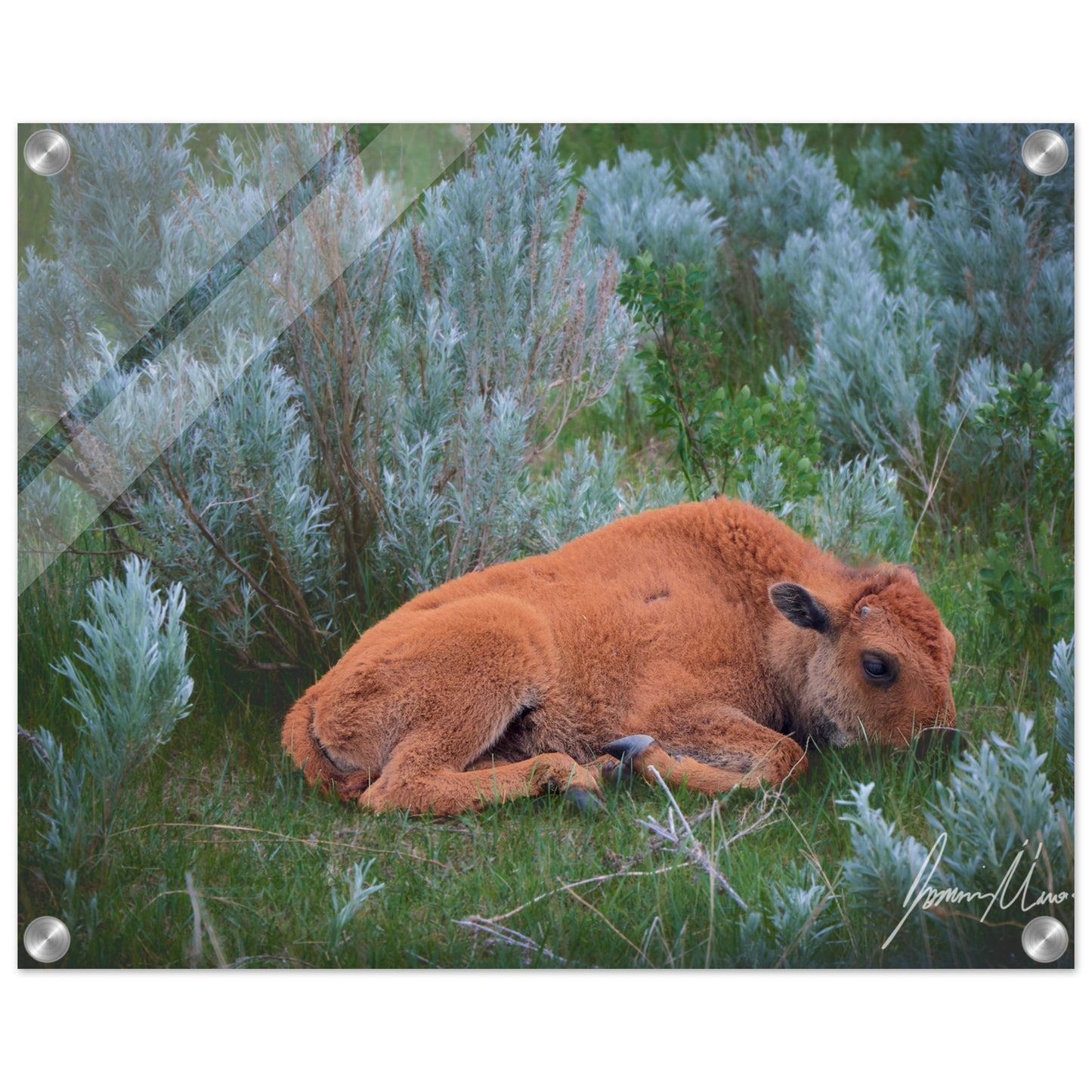 1babf4dd-1257-4675-baca-a0421f16192c