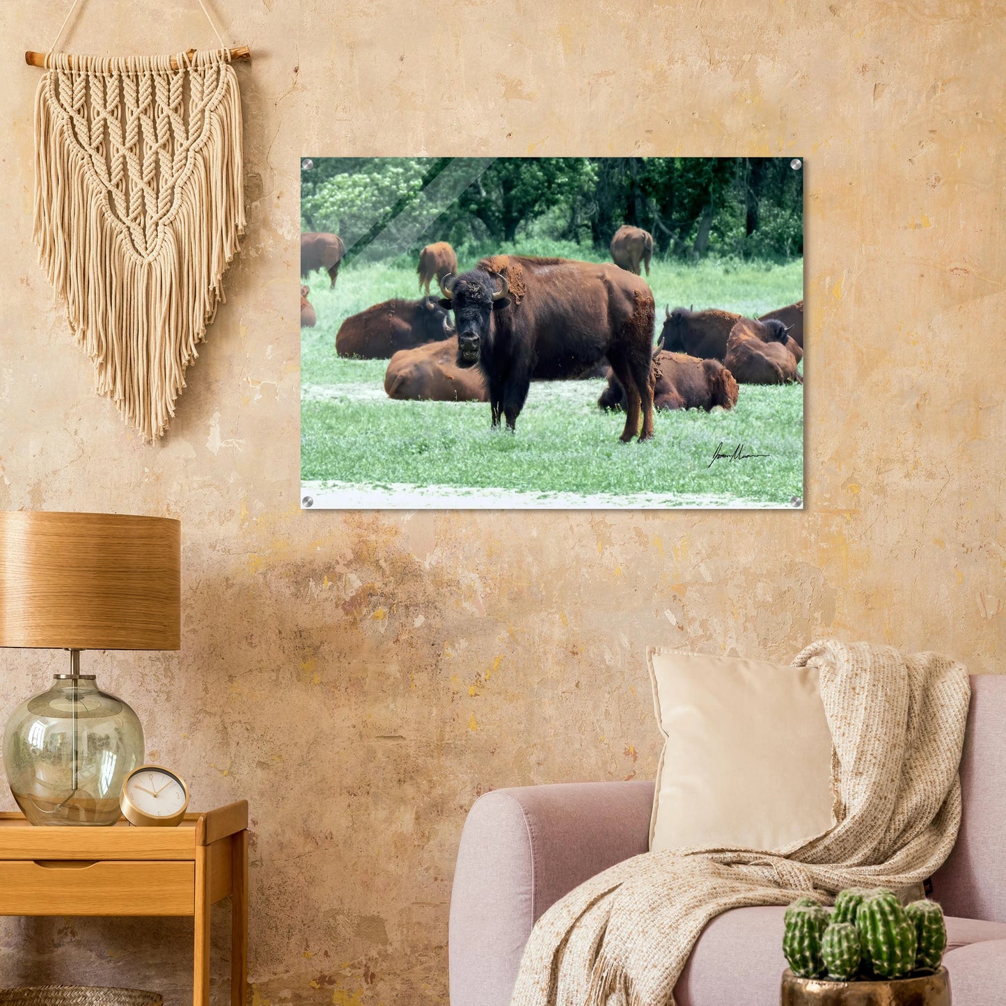 25b24f9c-12d2-43db-a91c-df1da3f3847d