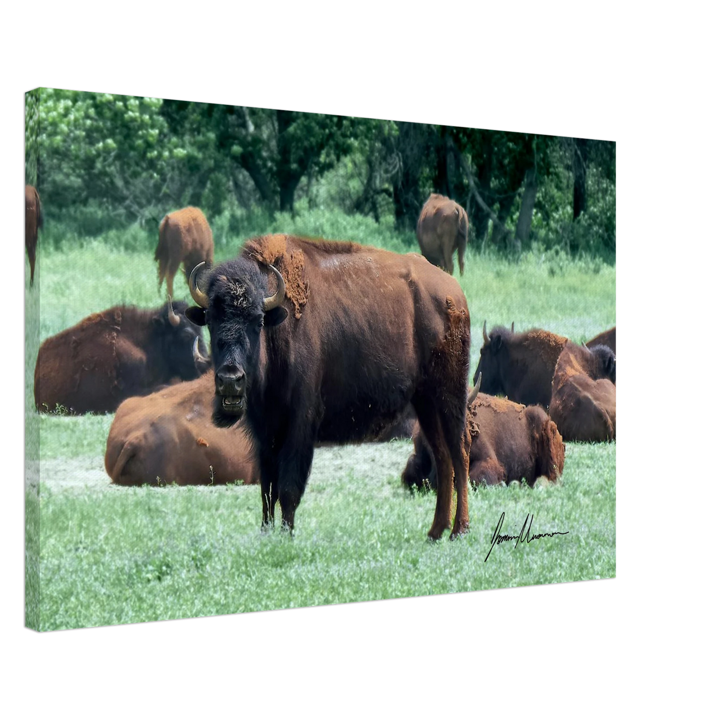 271f0e31-7a03-423a-bb21-1786a44c3ac3