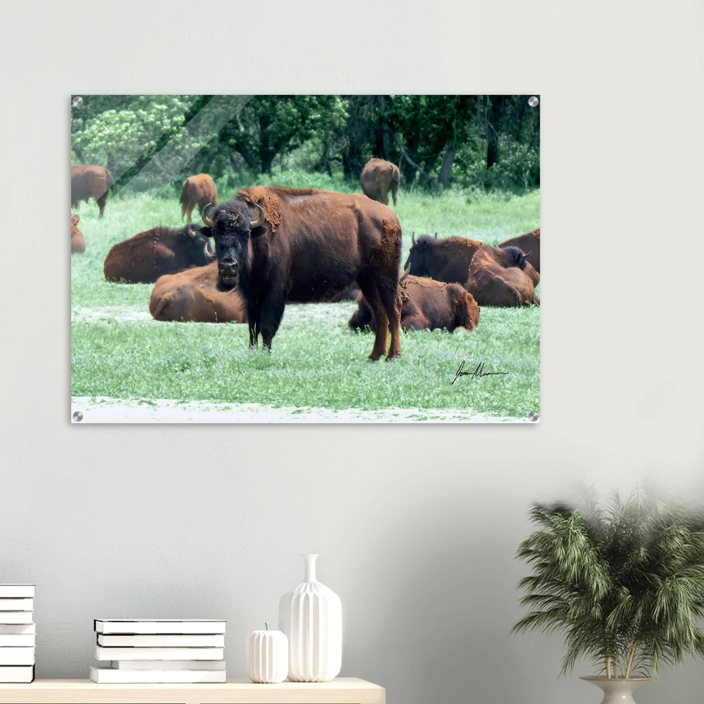 2a5c8935-b926-437e-9bd8-66cb41dfc9fd