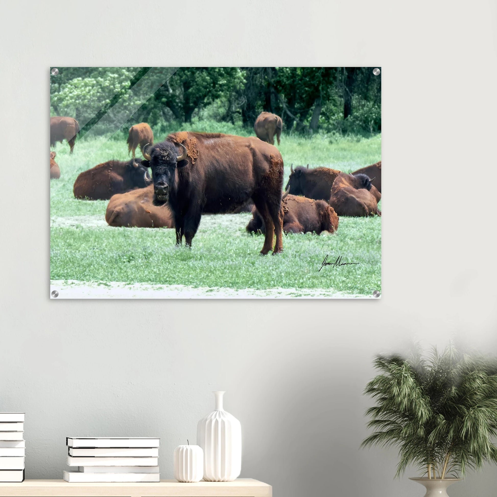 2a5c8935-b926-437e-9bd8-66cb41dfc9fd