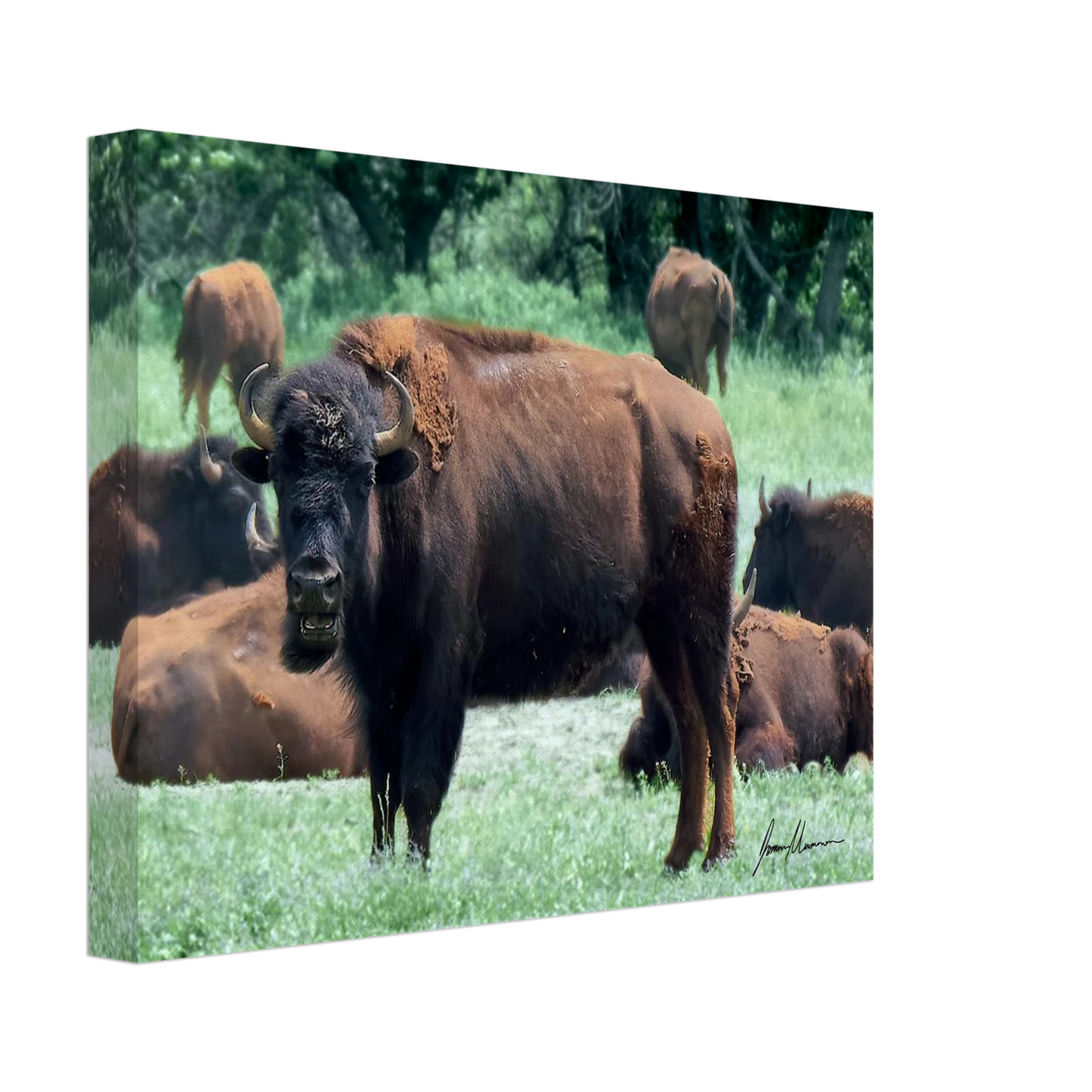 6ff68551-0ba4-4882-9b53-21843fafe3e4