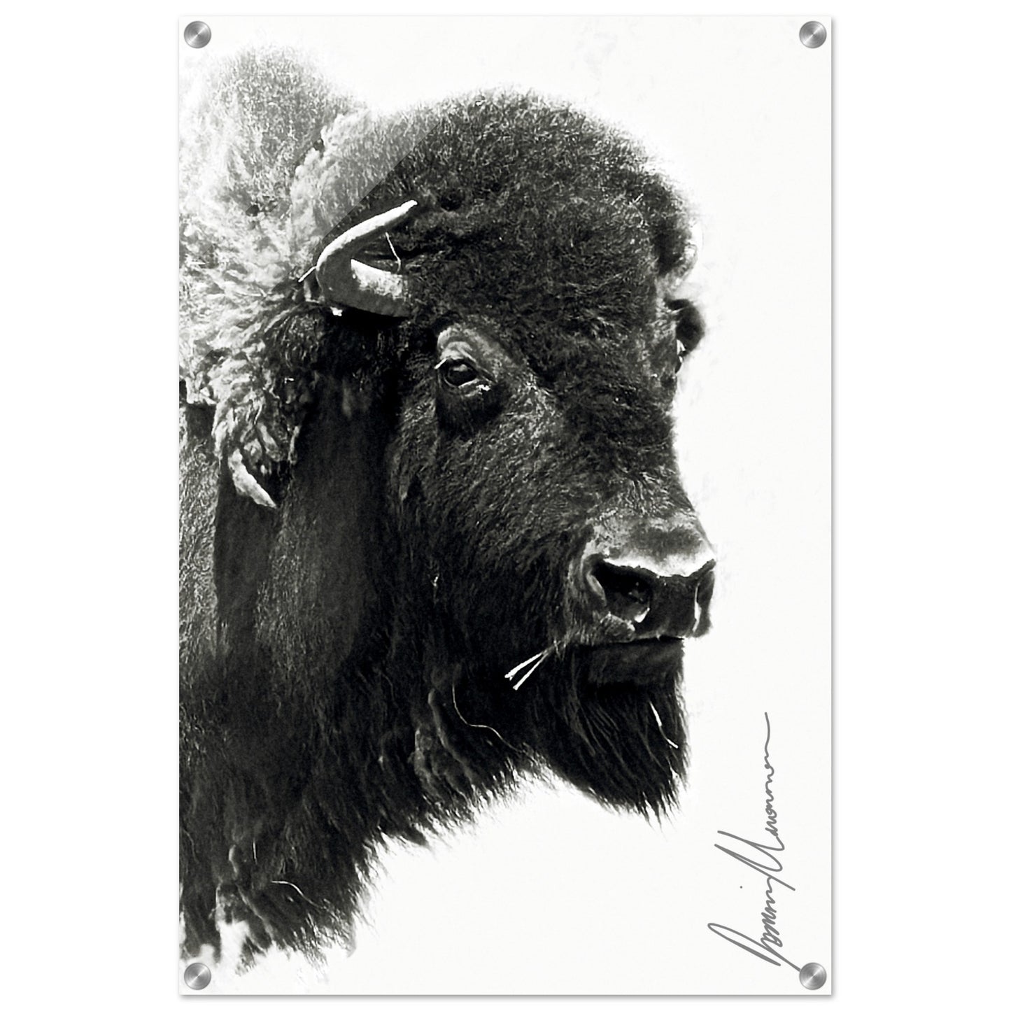 764fe9d4-bc7b-47bc-9a91-75289b8610a4