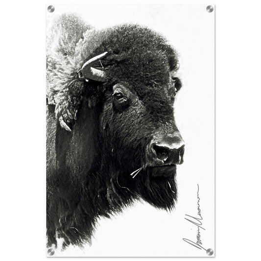 764fe9d4-bc7b-47bc-9a91-75289b8610a4