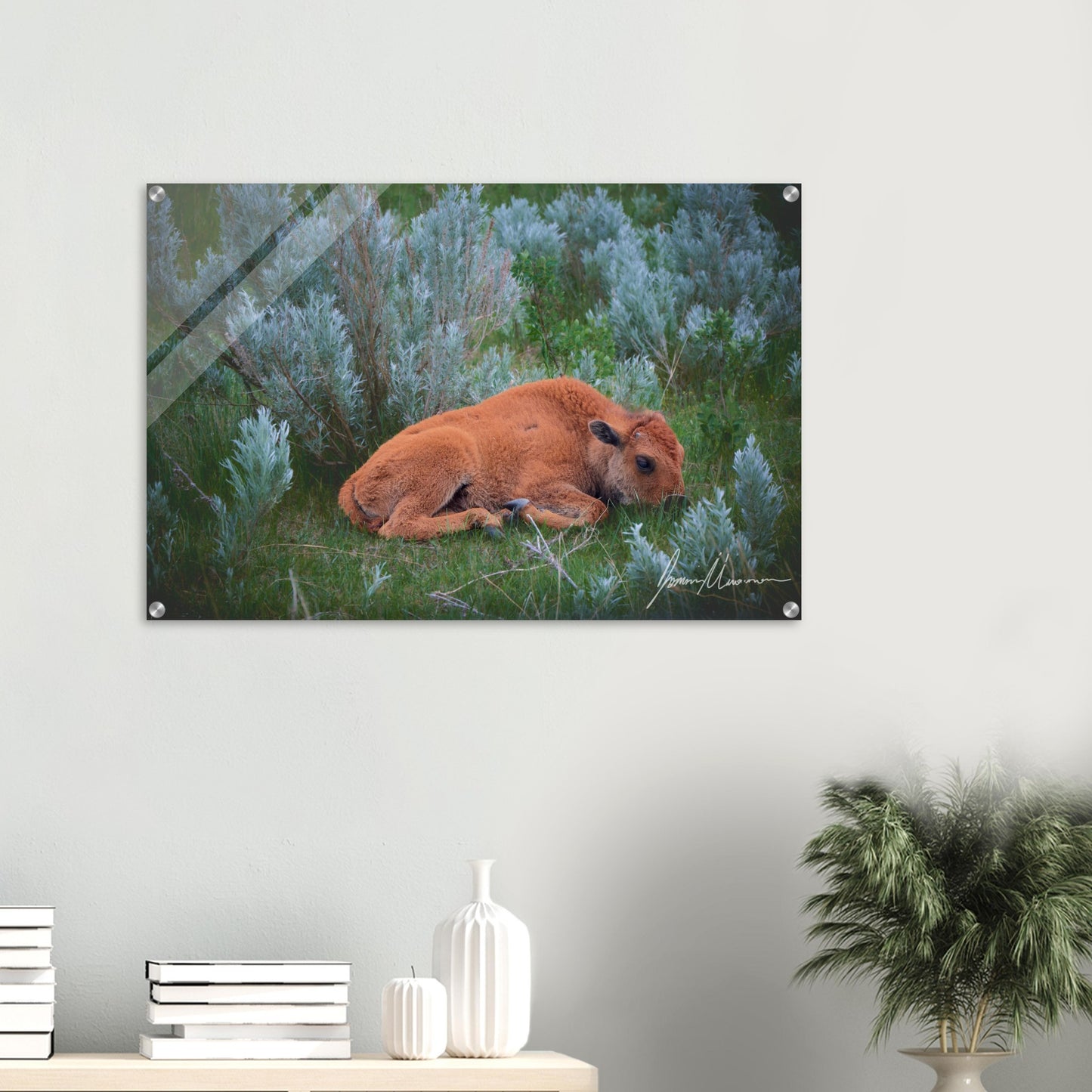 79df3603-72dd-4424-8450-67814bf78436