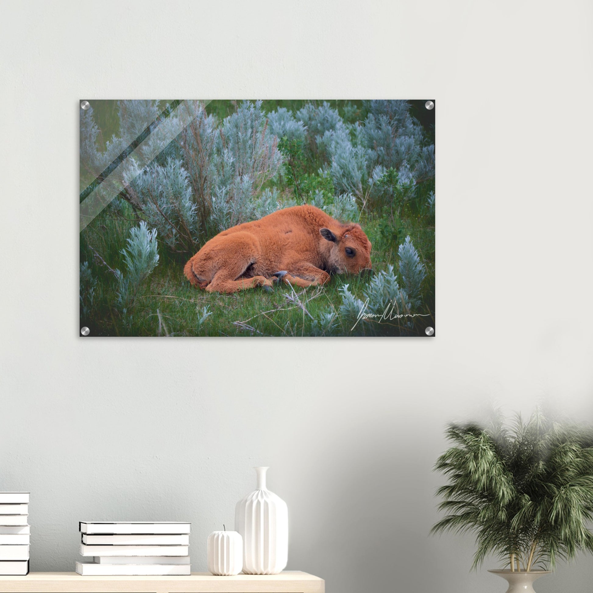 79df3603-72dd-4424-8450-67814bf78436