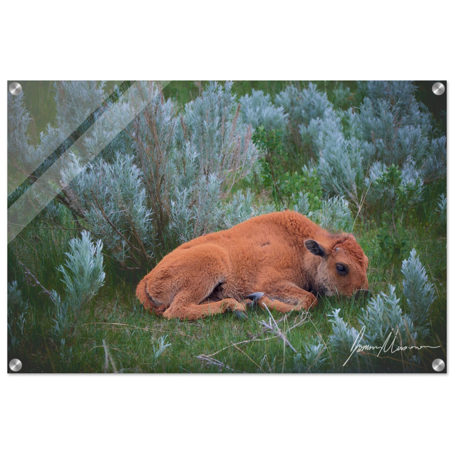 7d42308e-f5d1-427b-9f70-bdaaf1e1a205