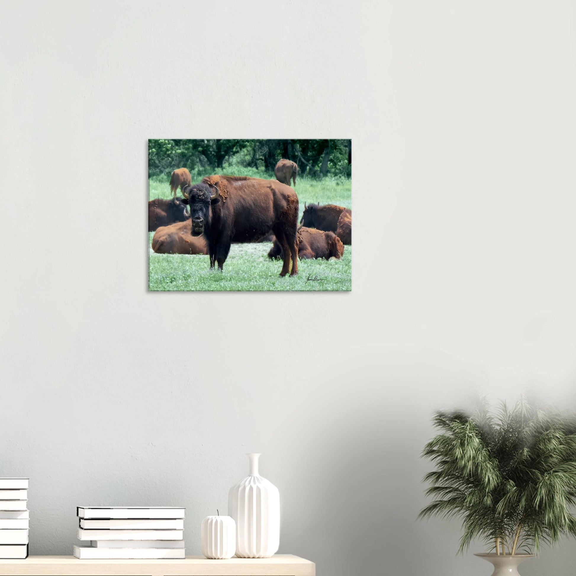 8ca7929c-5120-4177-84f2-a19da00aea36