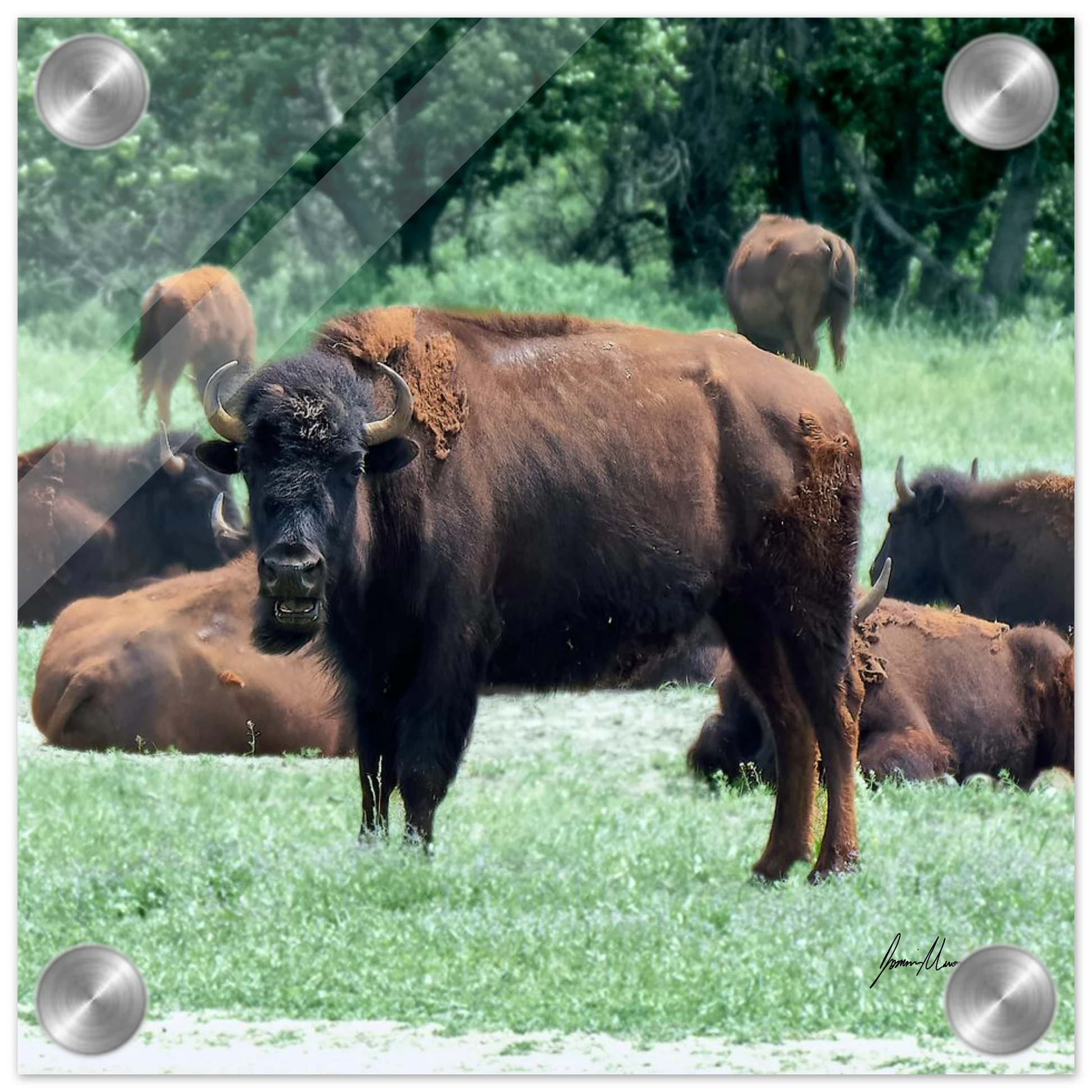 98e83665-6002-4551-ace9-94a2ebe00b56