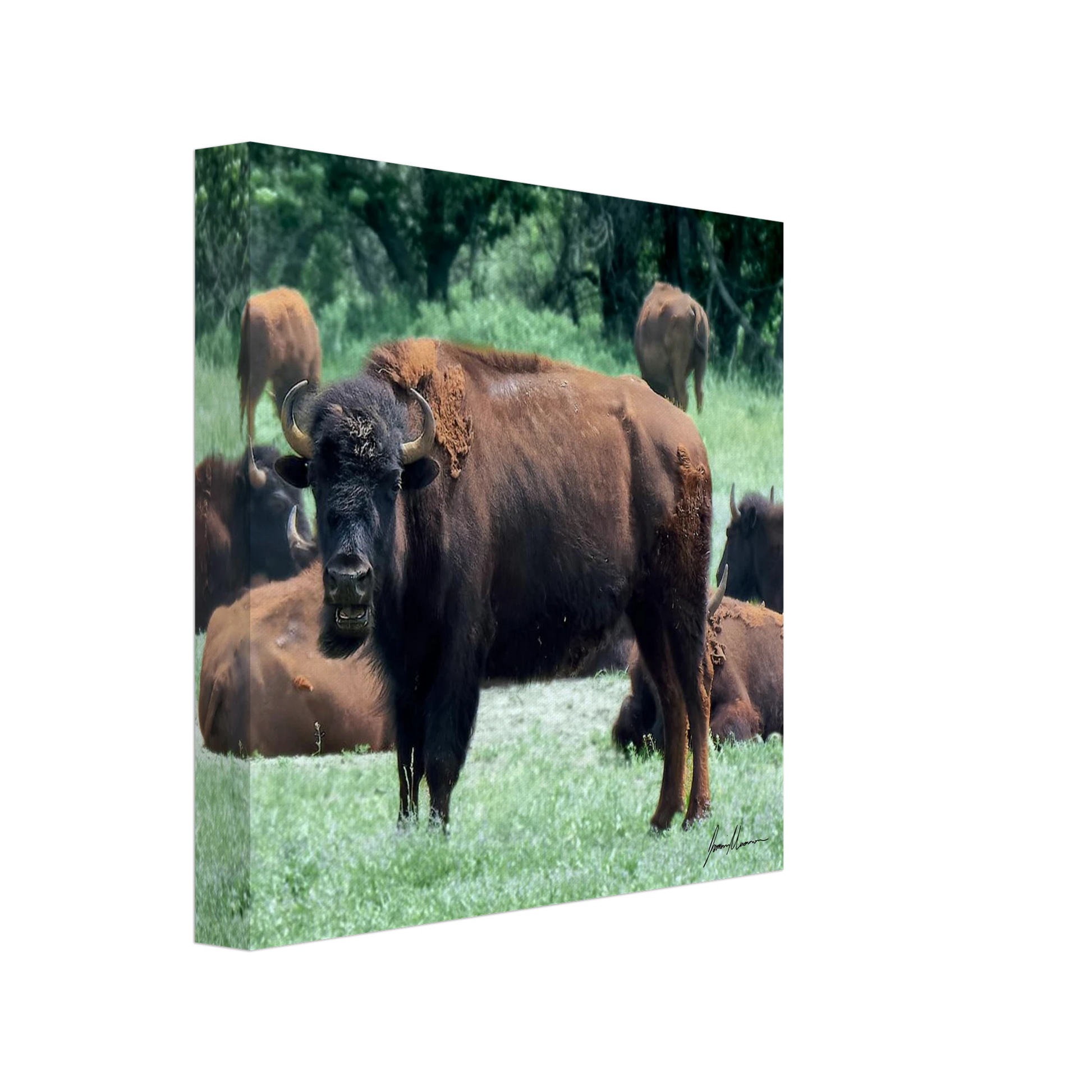 9a064977-3f6d-4f09-8a60-f4fb4a2f50f4