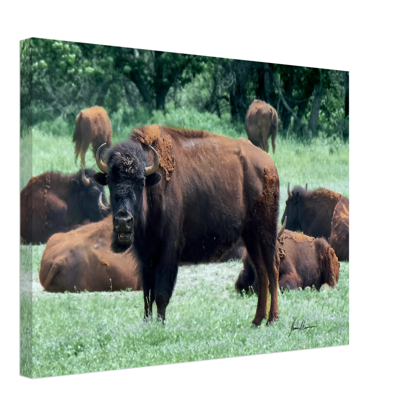 9a9425cd-91a6-419b-8043-3f9777d83c84