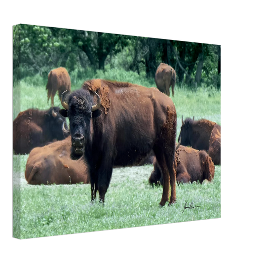 9a9425cd-91a6-419b-8043-3f9777d83c84