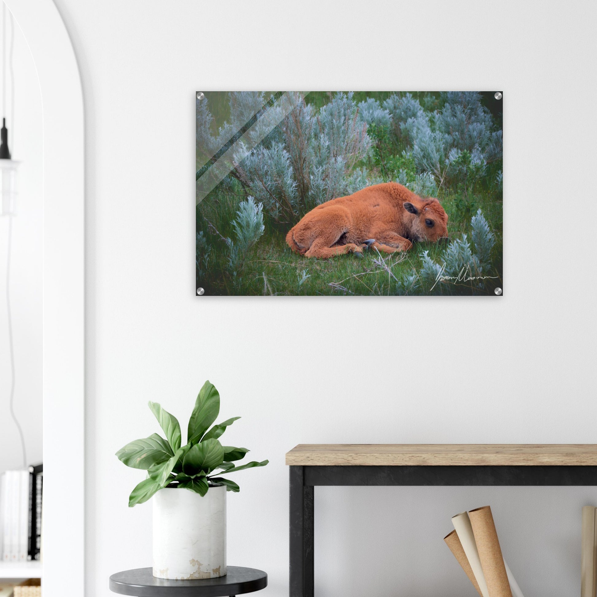 a0916c33-2a9c-4d56-b2ee-8b03fb81670d