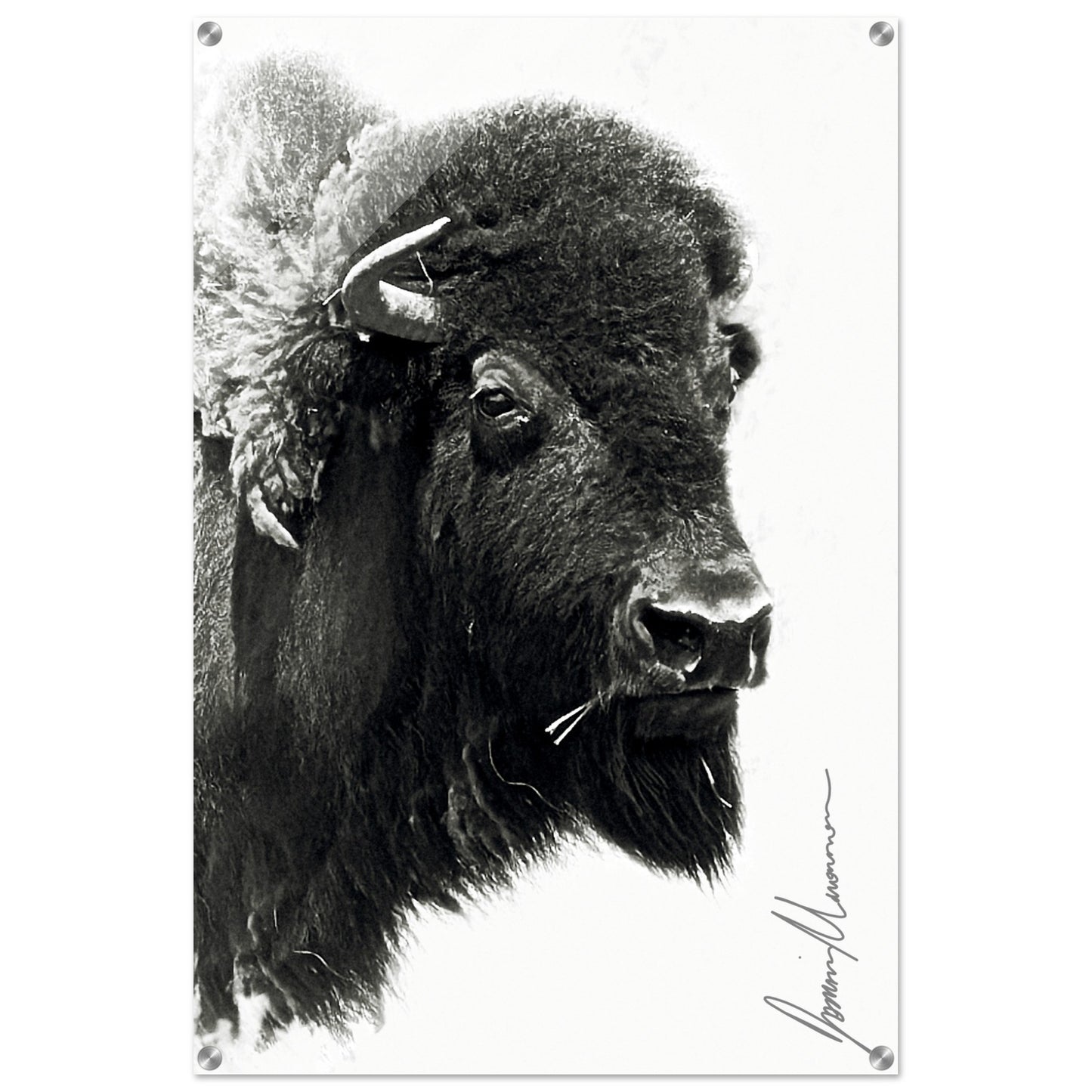 ac4b9274-251f-4345-b482-a4369733cd3a