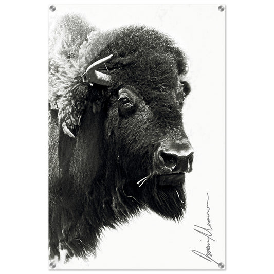 ac4b9274-251f-4345-b482-a4369733cd3a