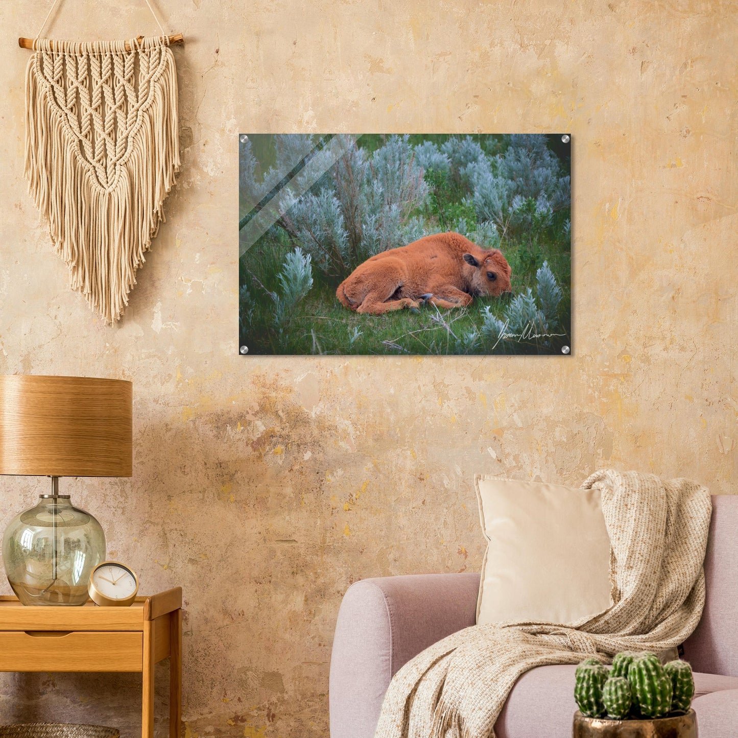 bc1b6a8a-8f18-4cbe-a9ad-1c4baa21a891