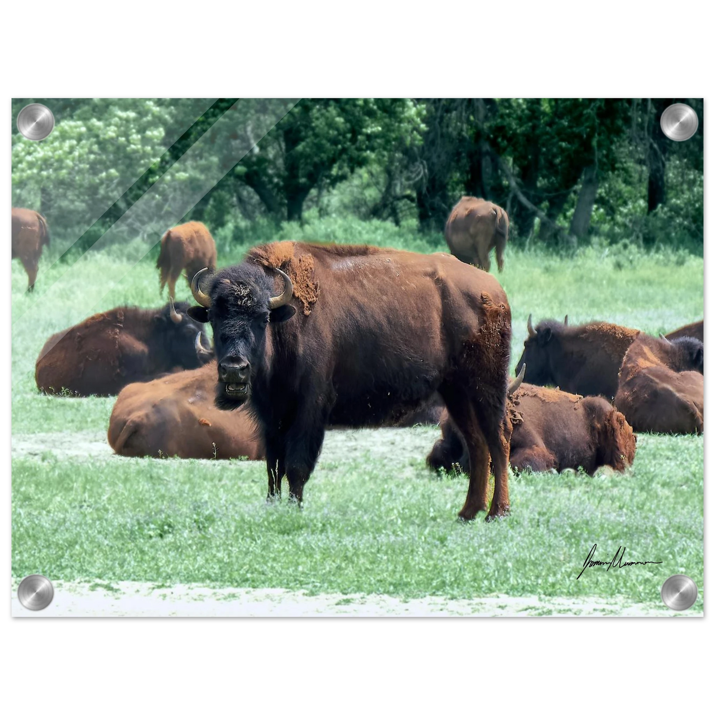 be03cf1a-a8a8-4055-940c-75240c3bd583