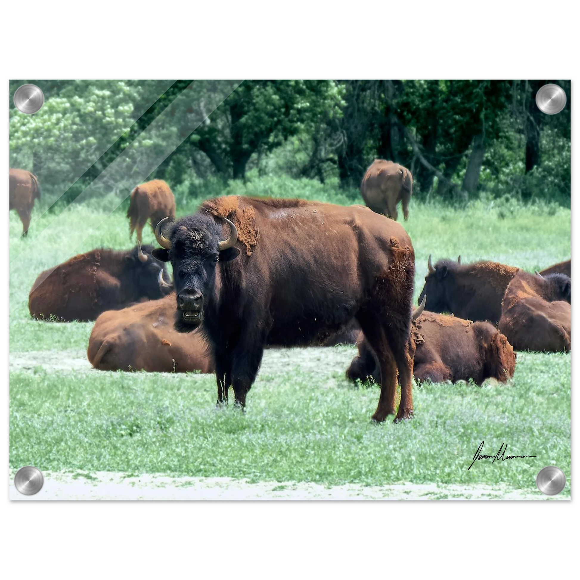 be03cf1a-a8a8-4055-940c-75240c3bd583