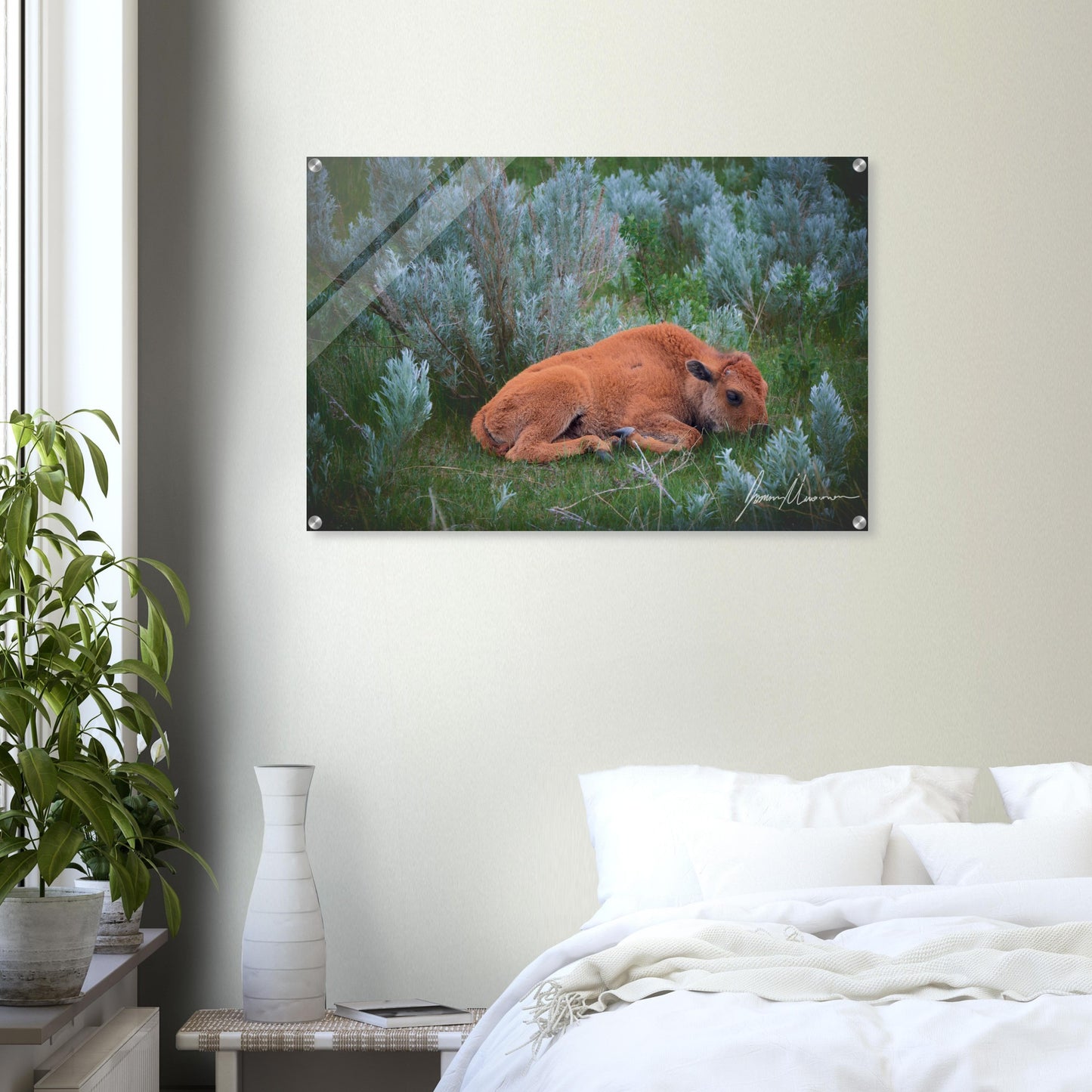 c2a602fc-9e3d-4050-827d-68106ef06352