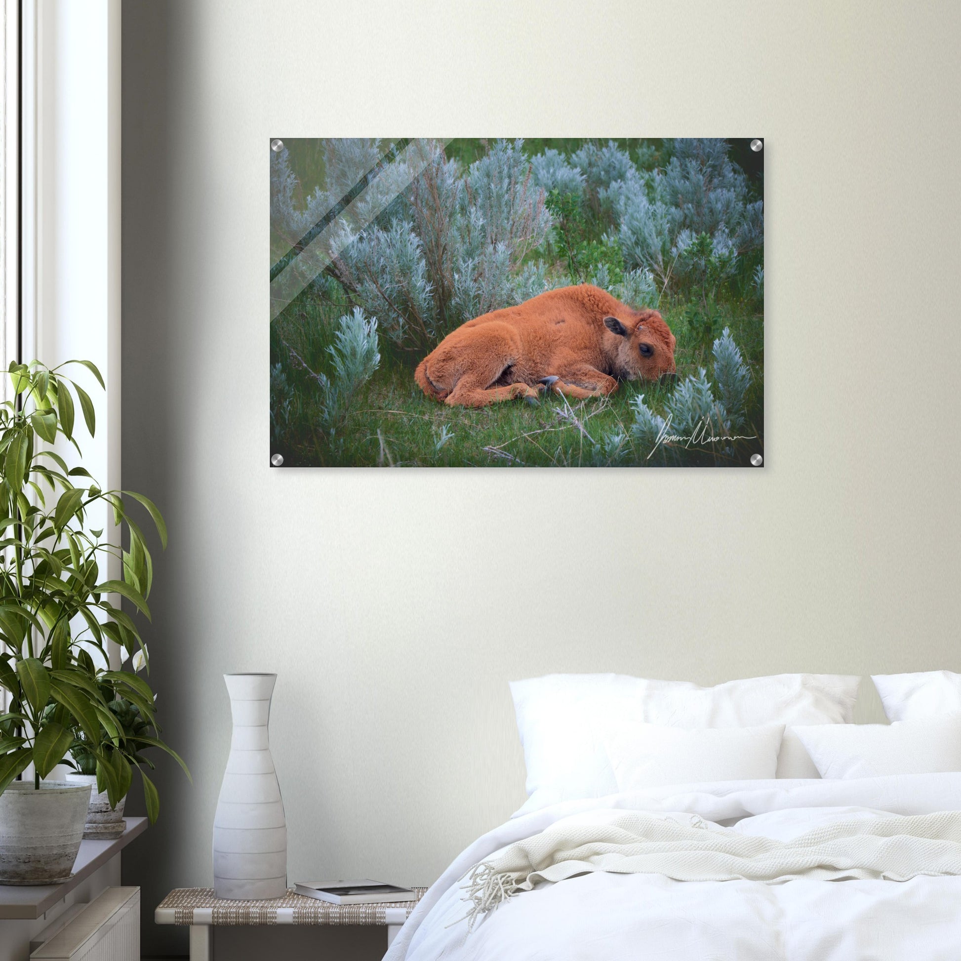 c2a602fc-9e3d-4050-827d-68106ef06352