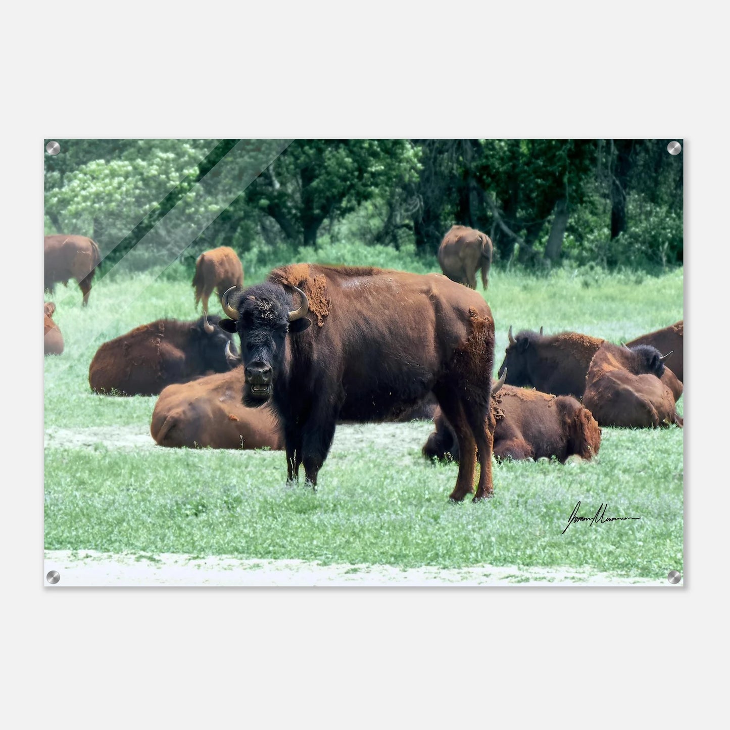 c74c99d5-6635-4e2b-947b-05a4c530fe40