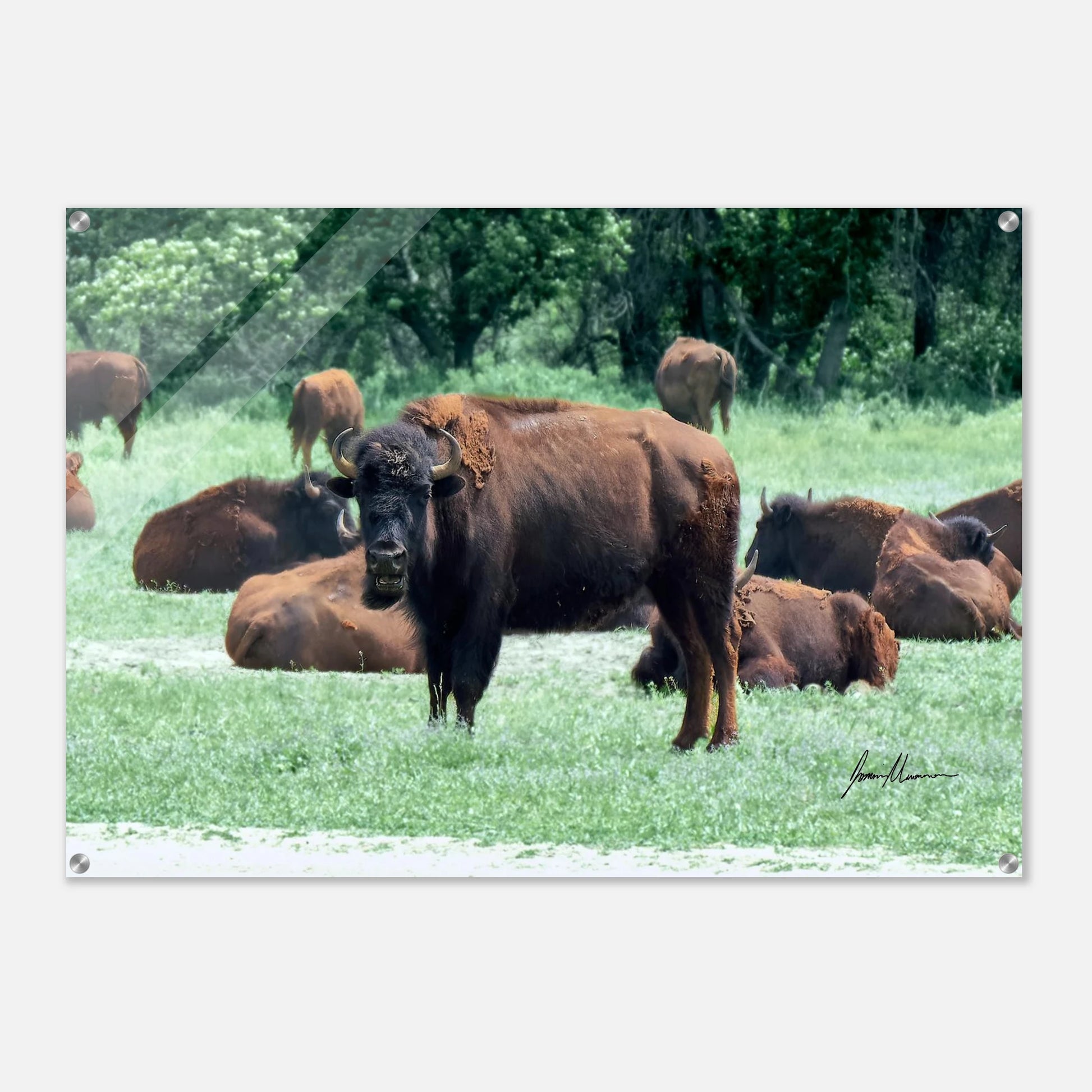 c74c99d5-6635-4e2b-947b-05a4c530fe40