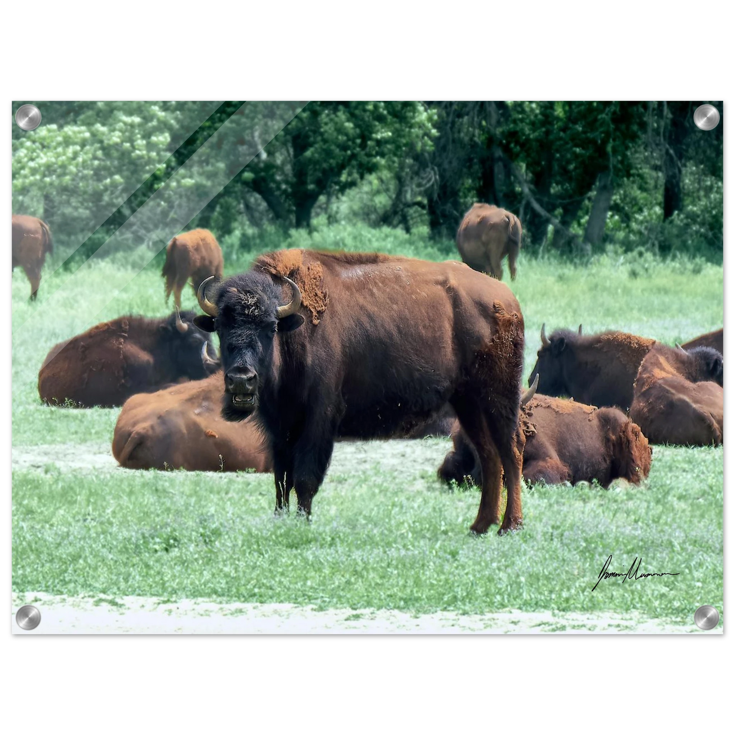 cfcc4362-3e58-4aee-9504-bb806c8920bf