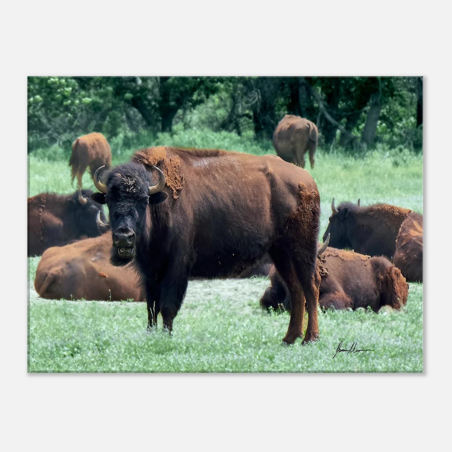 d518d3e6-326b-4214-a468-4b8b5e8e5042