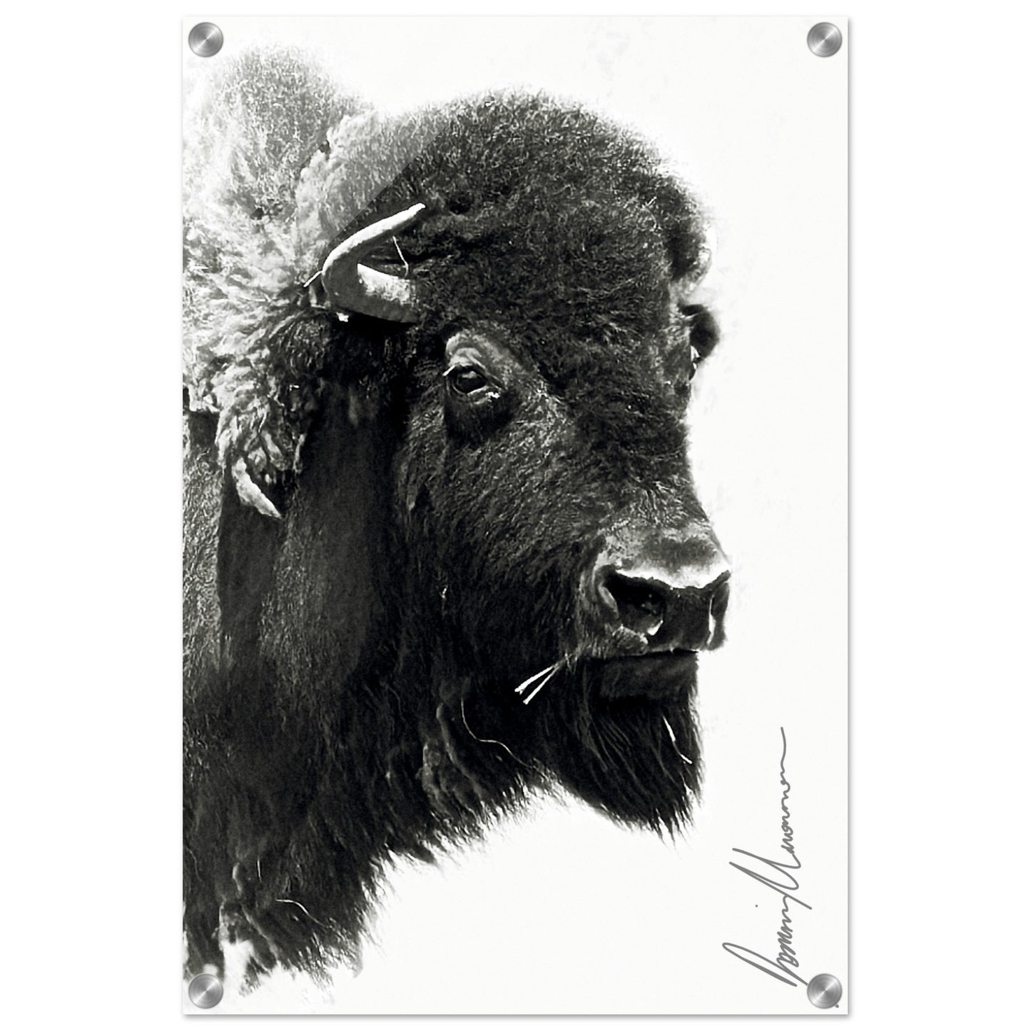 dc5cf8ac-4900-4039-9662-ea8d7bd6c417