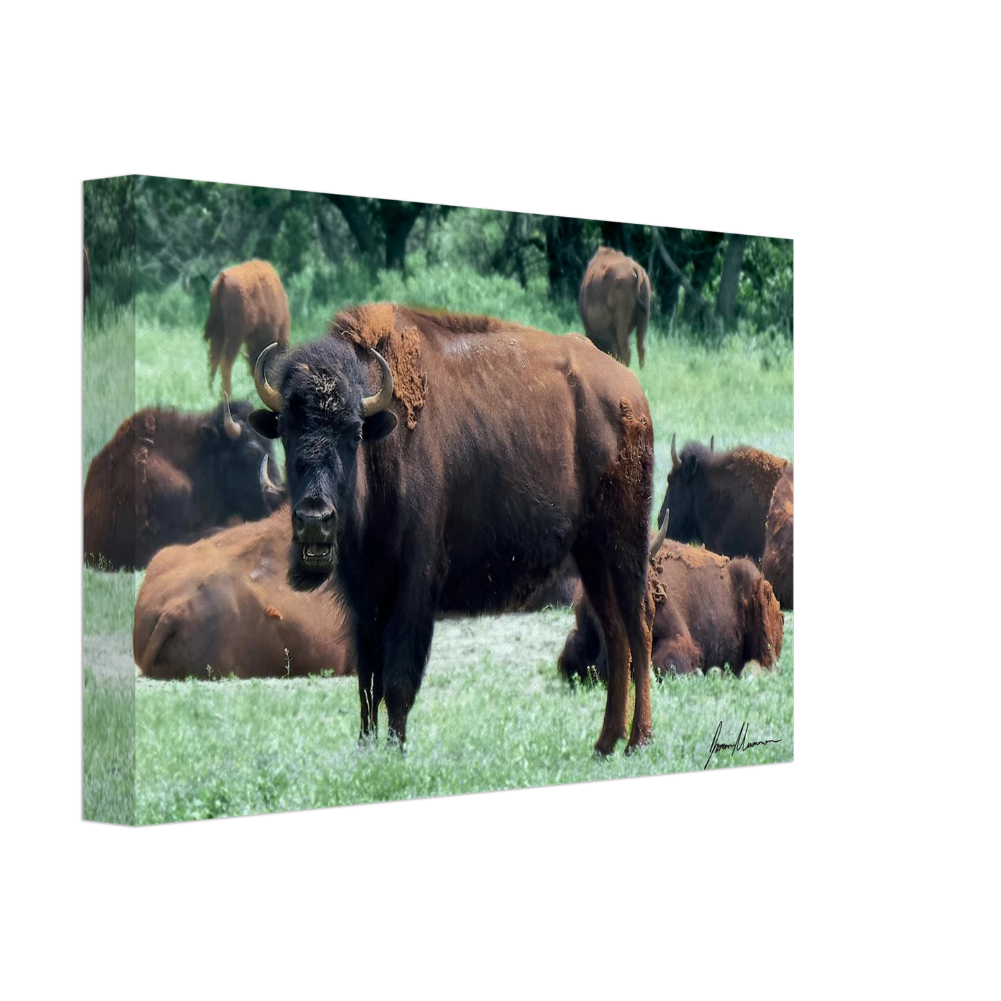 e225732e-2245-425c-9606-90641ae76ad9