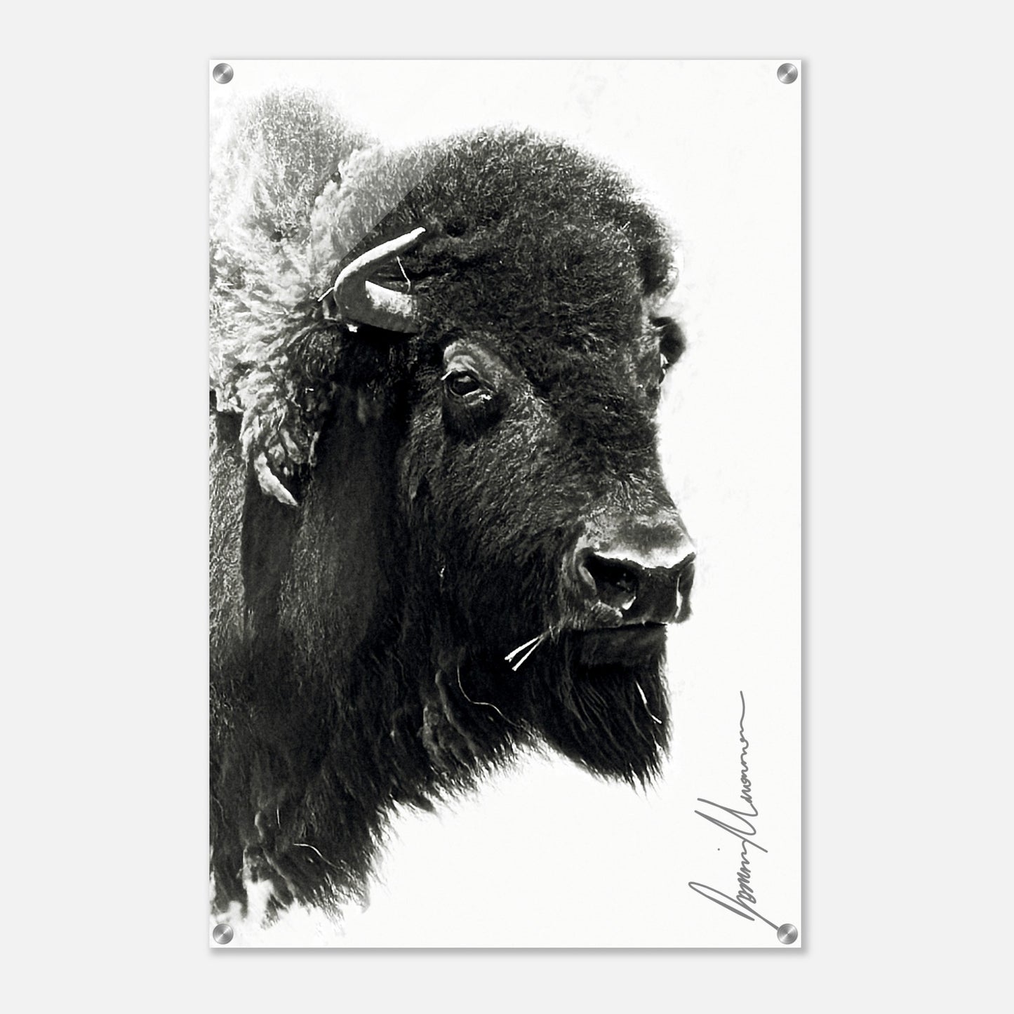 e70af9c2-8634-4509-89c1-68c1dee0e408