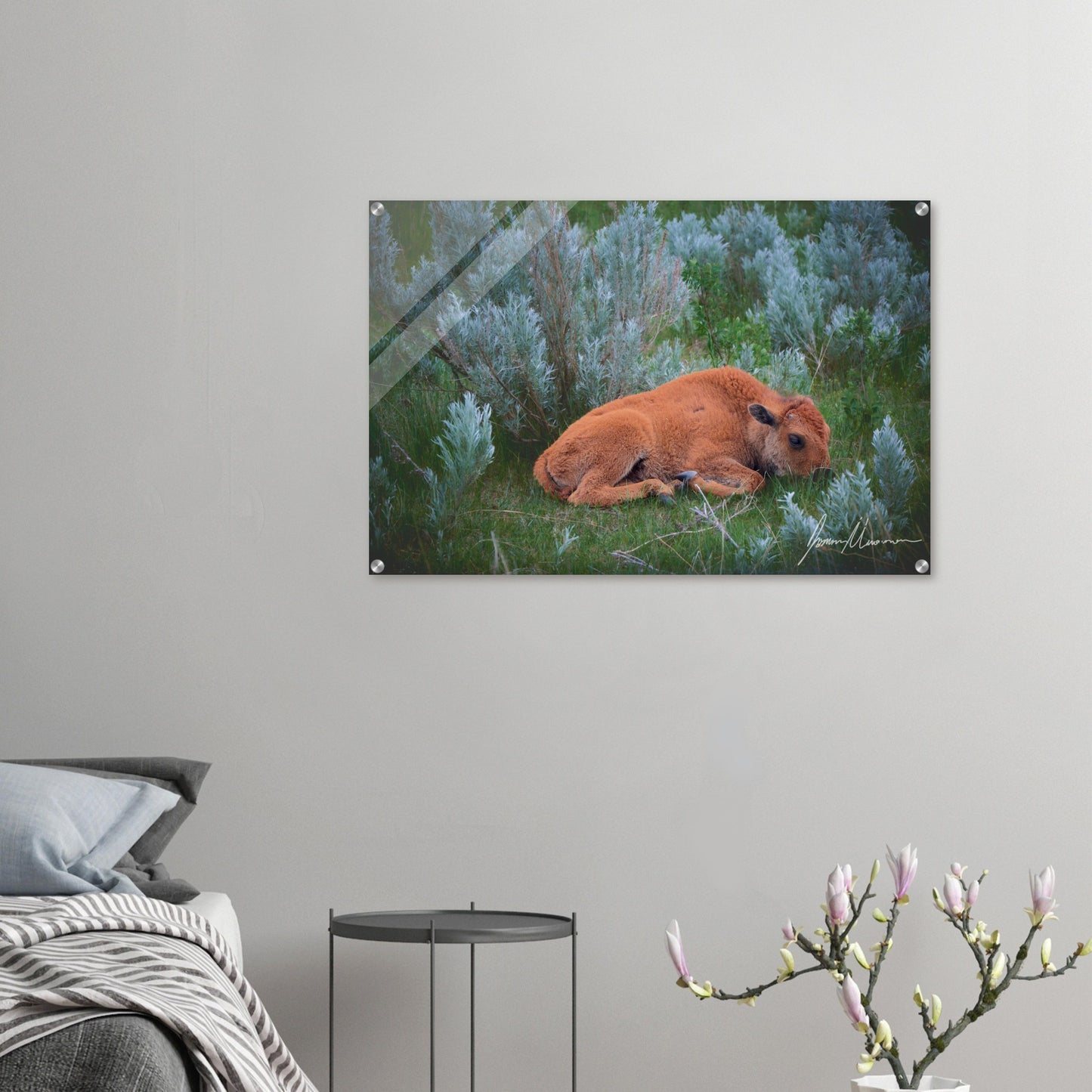 e8643f39-2880-48fe-87b8-152a45d36791