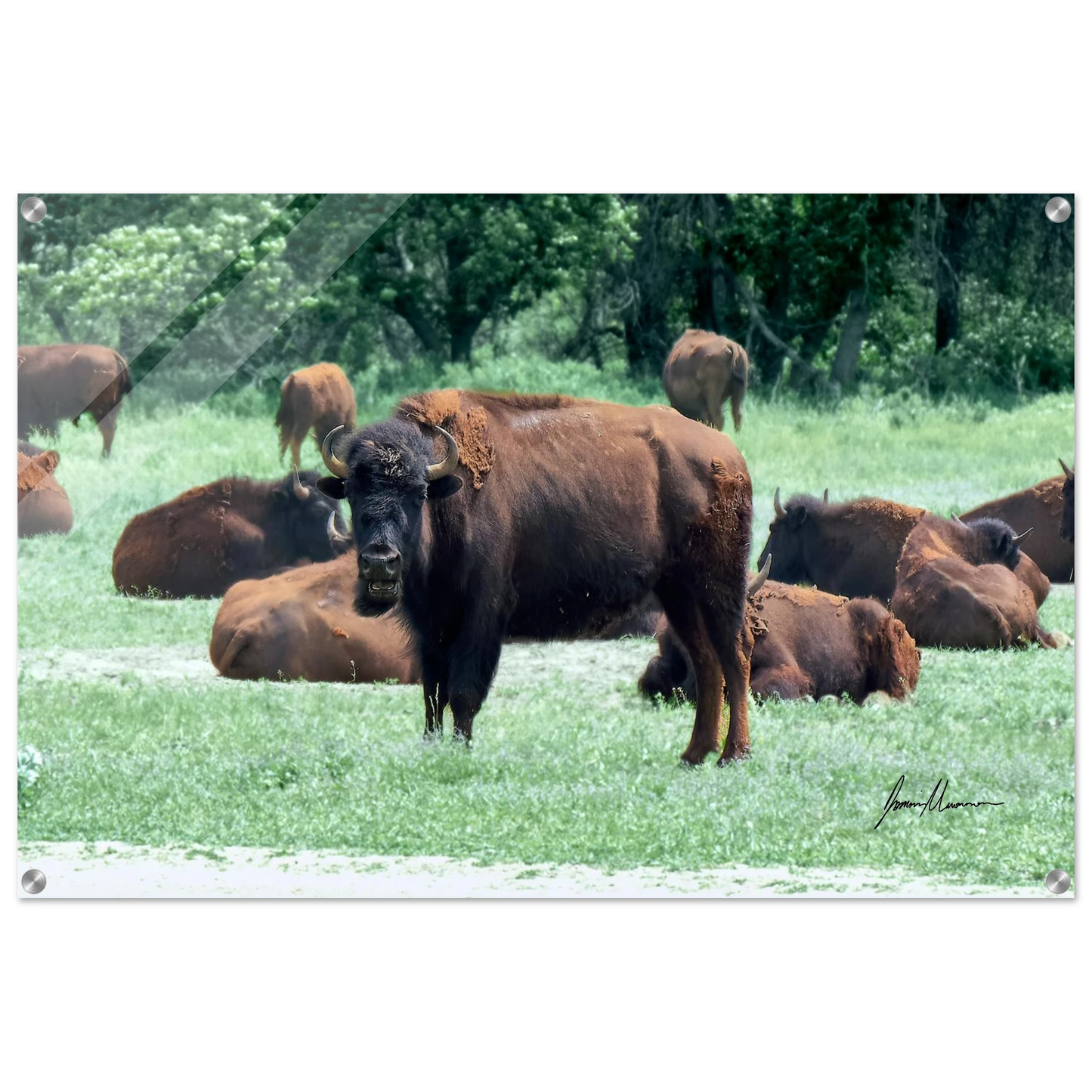 ee2bc1c3-71e6-4313-ab96-69c5f474b5ce