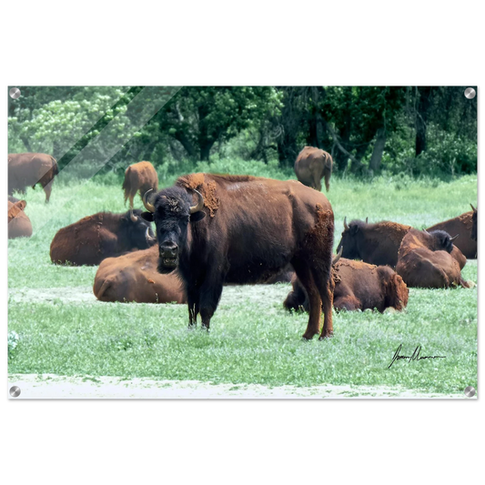 ee2bc1c3-71e6-4313-ab96-69c5f474b5ce