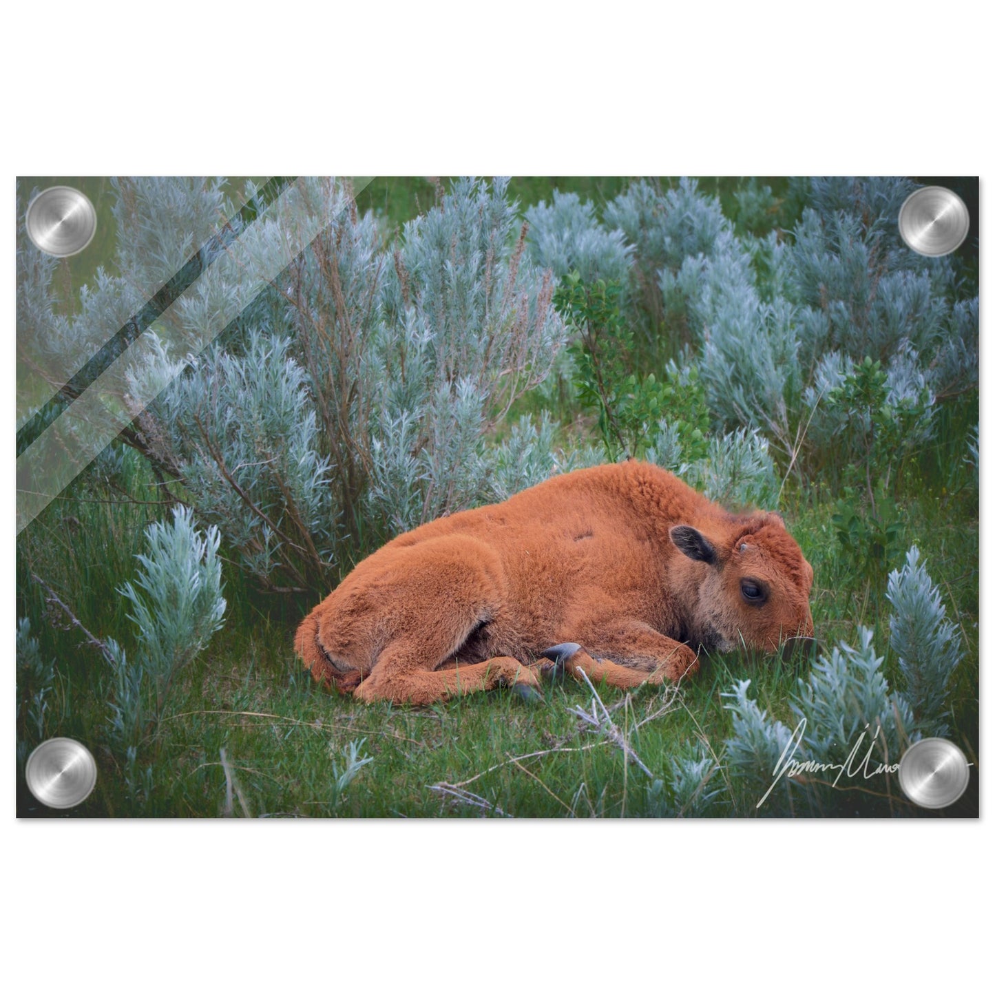 f19931a9-53e9-4ba5-b5a0-c2b31563fbe6