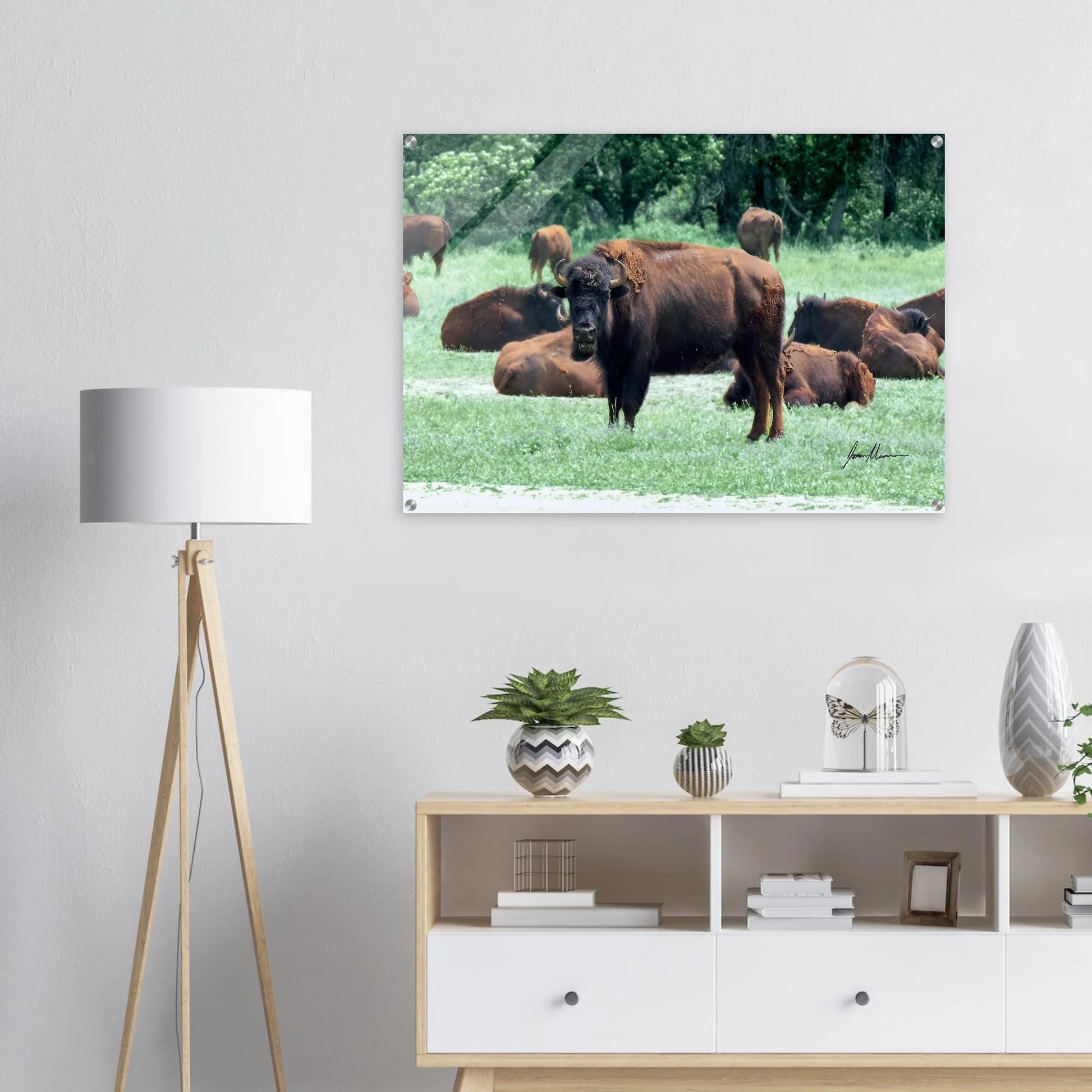 fdc13081-6401-4db0-9b58-fe51a2abaae7