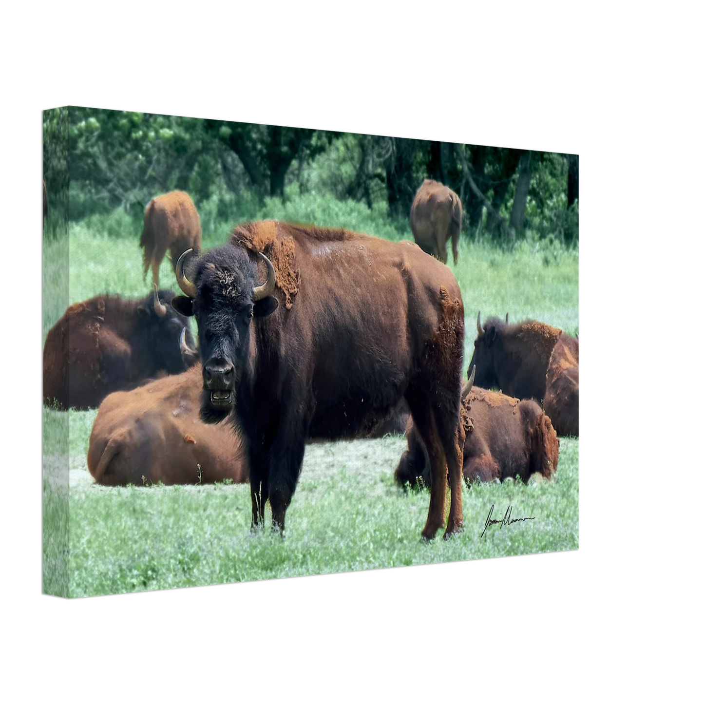 fee7e3e6-ec7d-42d7-b344-4d3915100577