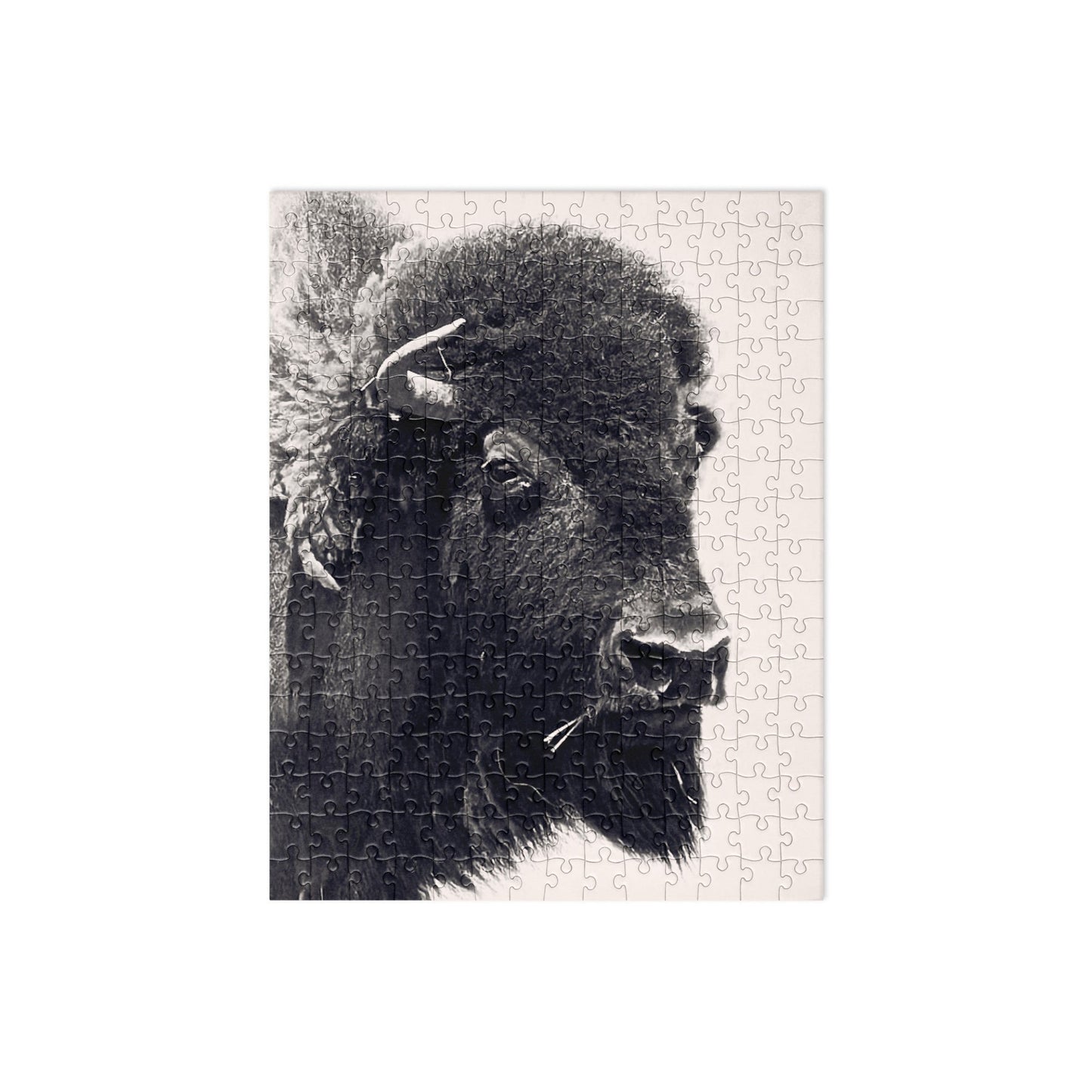 Your Suggested brand bison 252 piece jigsaw puzzle on a white background.