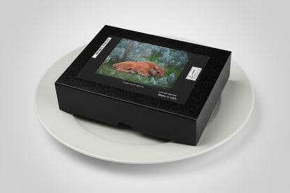 Your Suggested brand puzzle box with illustration of a bison calf lying in prairie grass.